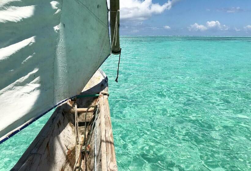 پانسیون Iddi House