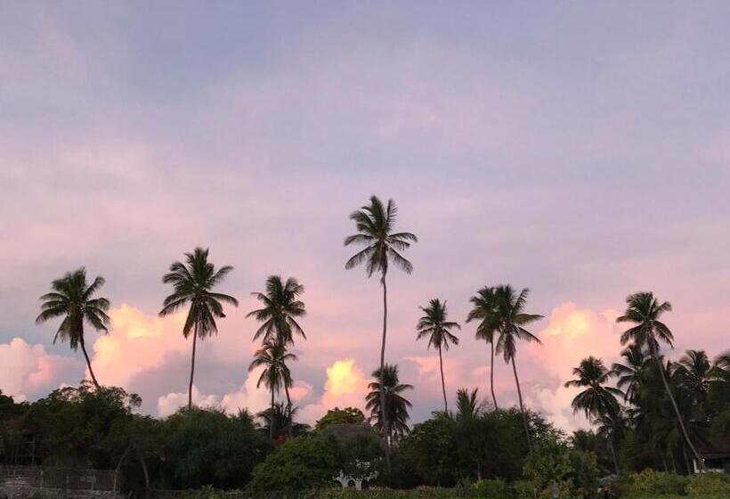 پانسیون Iddi House