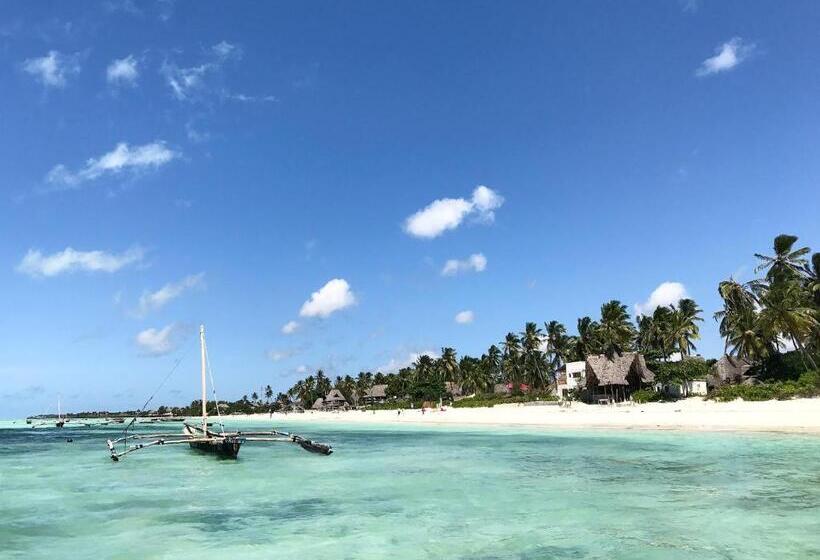 پانسیون Iddi House