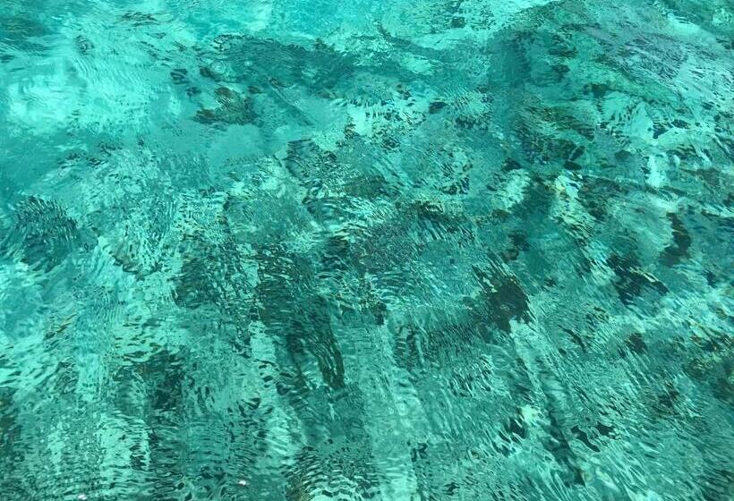 پانسیون Iddi House