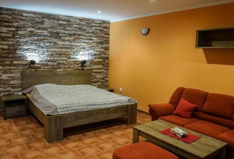 펜션 Penzion Na Hradbách