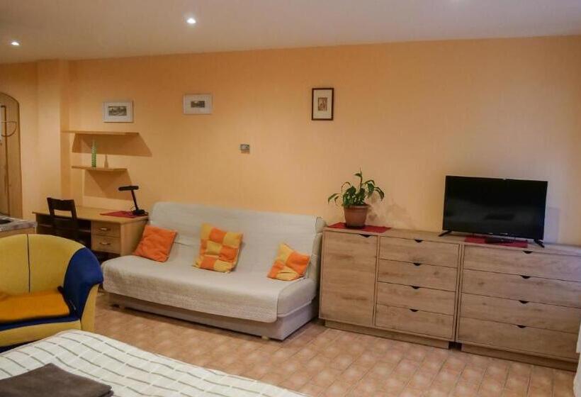 펜션 Penzion Na Hradbách