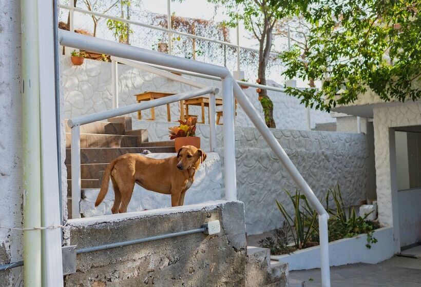 Vito Hotel Boutique Taganga