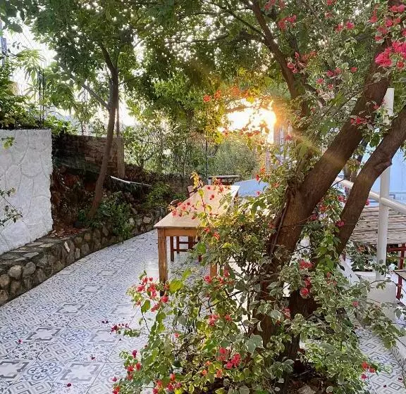 Vito Hotel Boutique Taganga