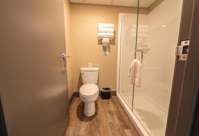 בית מלון כפרי Cobblestone Inn & Suites  Trenton