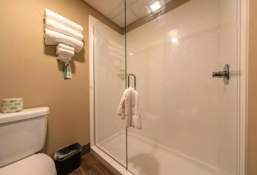 Hotelli Cobblestone Inn & Suites  Trenton