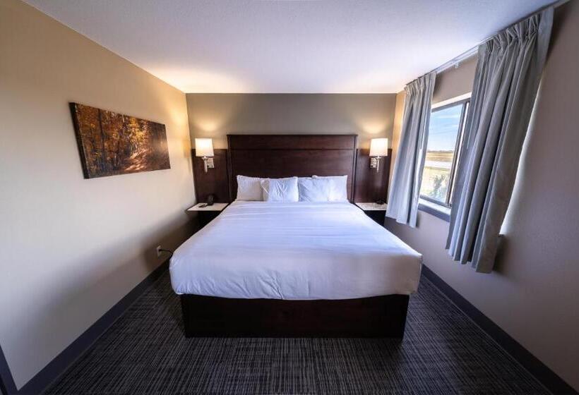 בית מלון כפרי Cobblestone Inn & Suites  Trenton