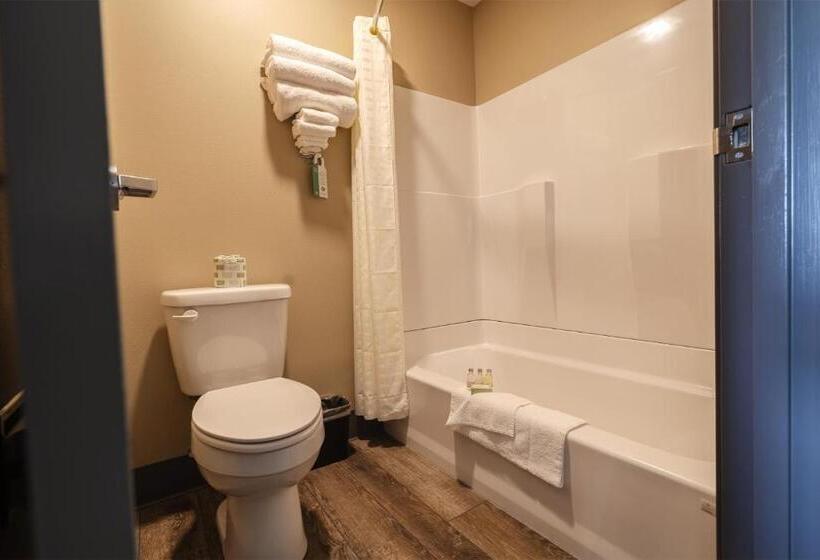 בית מלון כפרי Cobblestone Inn & Suites  Trenton