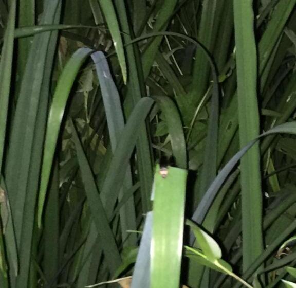 ホテル Bunbuku No Yu