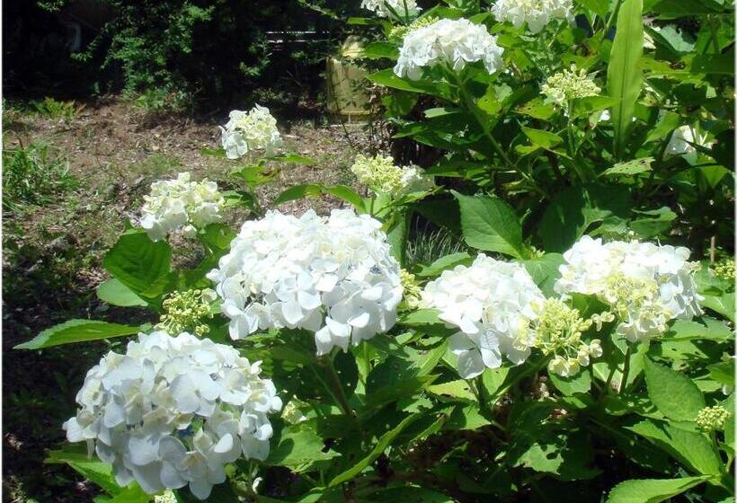 ホテル Bunbuku No Yu