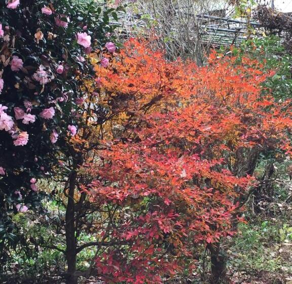 ホテル Bunbuku No Yu