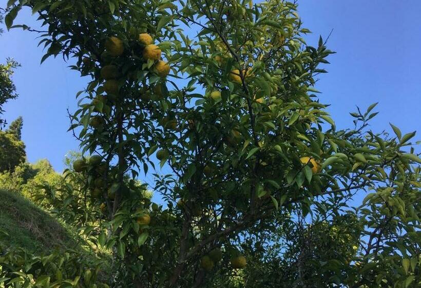 Otel Farmhouse Yuzu No Sato Izumi