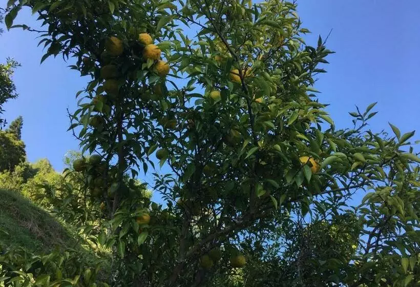 Hotelli Farmhouse Yuzu No Sato Izumi