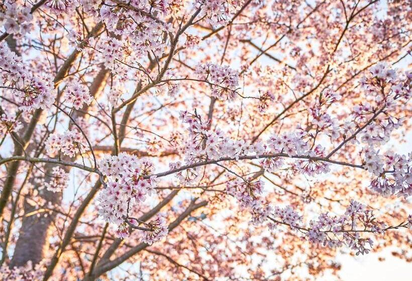 호텔 Kameyama Onsen