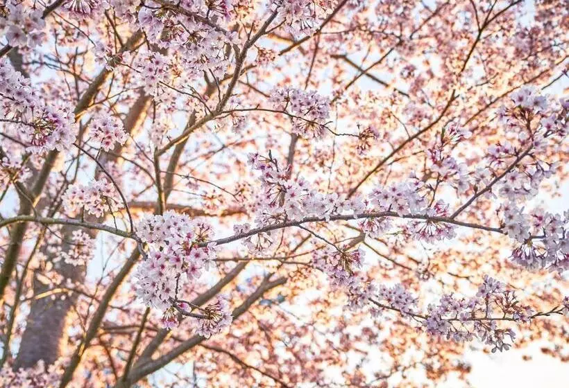 Hotelli Kameyama Onsen