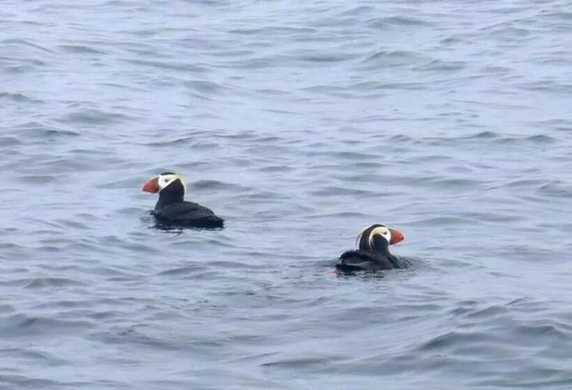 Tabist Hotel Nemuro Kaiyoutei