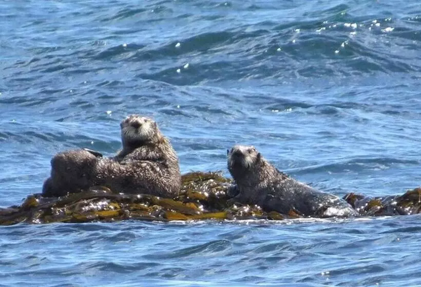 Tabist Hotel Nemuro Kaiyoutei