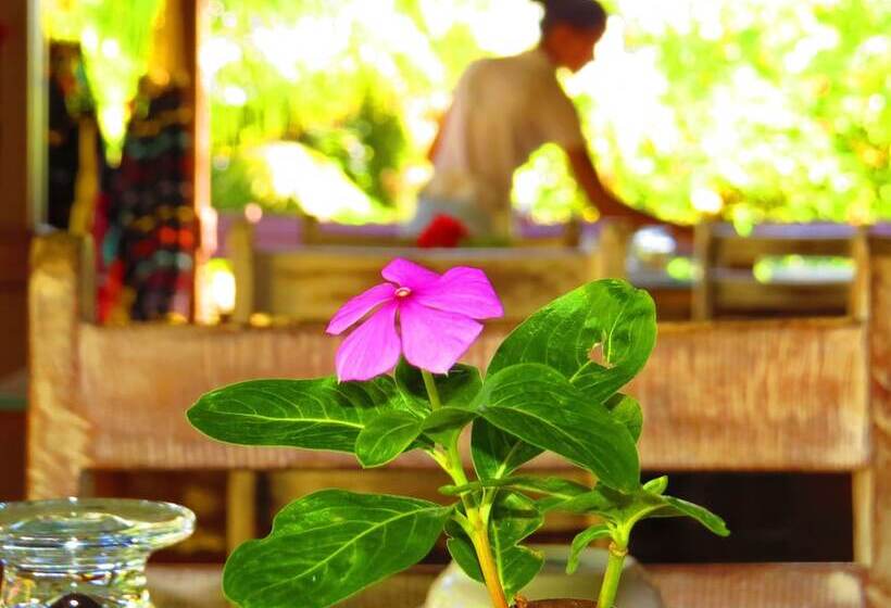 酒店 Pousada Naiepe