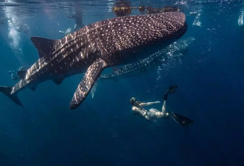 هتل Radisson Blu Resort Maldives With 50 Percent Off On Sea Plane Round Trip 03 Nights & Above