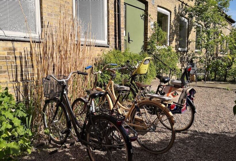 צימר Explorers Club