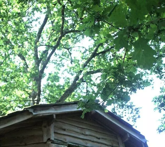 ホテル ô Bois Dormant