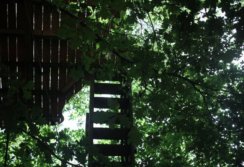 בית מלון כפרי ô Bois Dormant