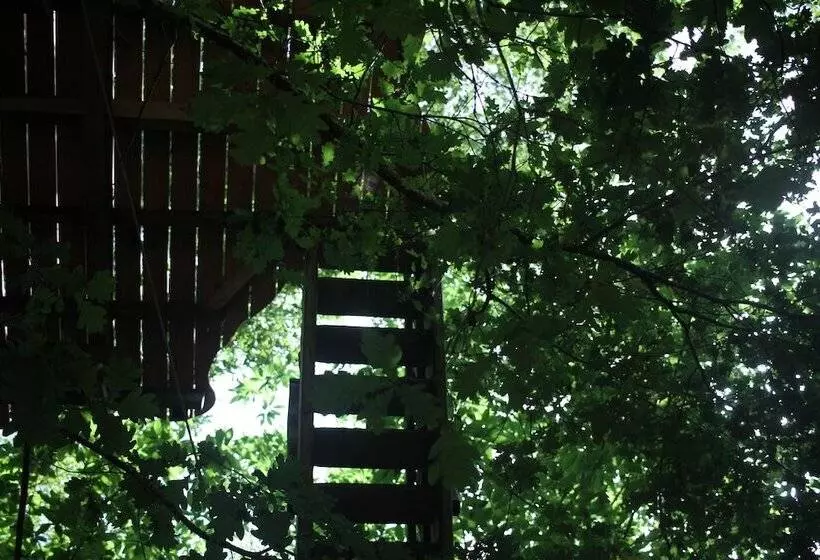 ホテル ô Bois Dormant