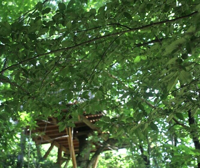 בית מלון כפרי ô Bois Dormant