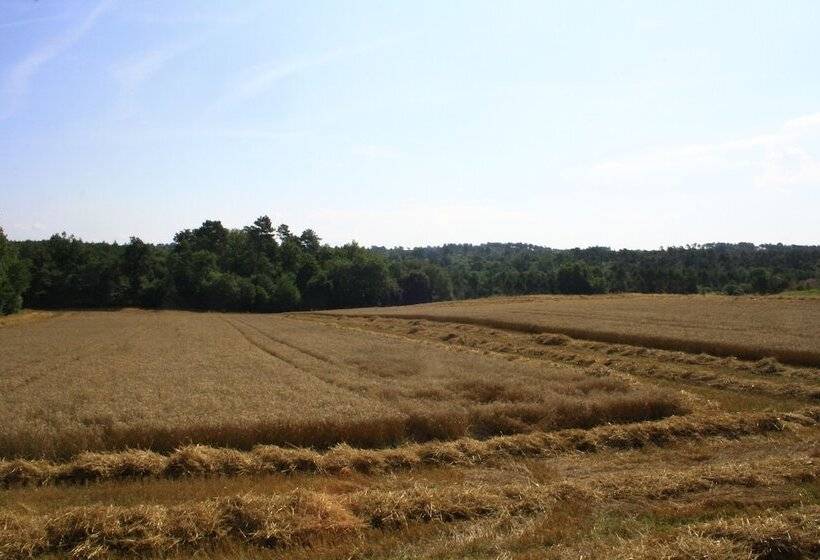 בית מלון כפרי ô Bois Dormant