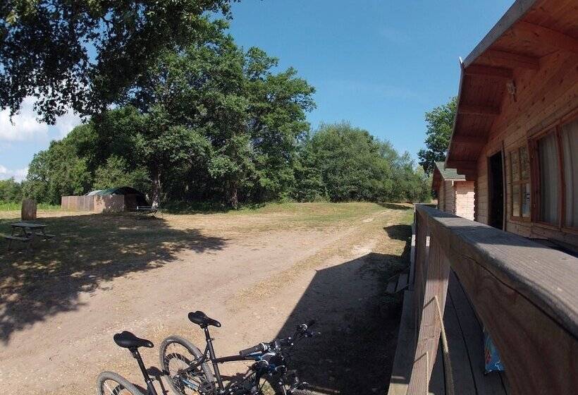 בית מלון כפרי ô Bois Dormant