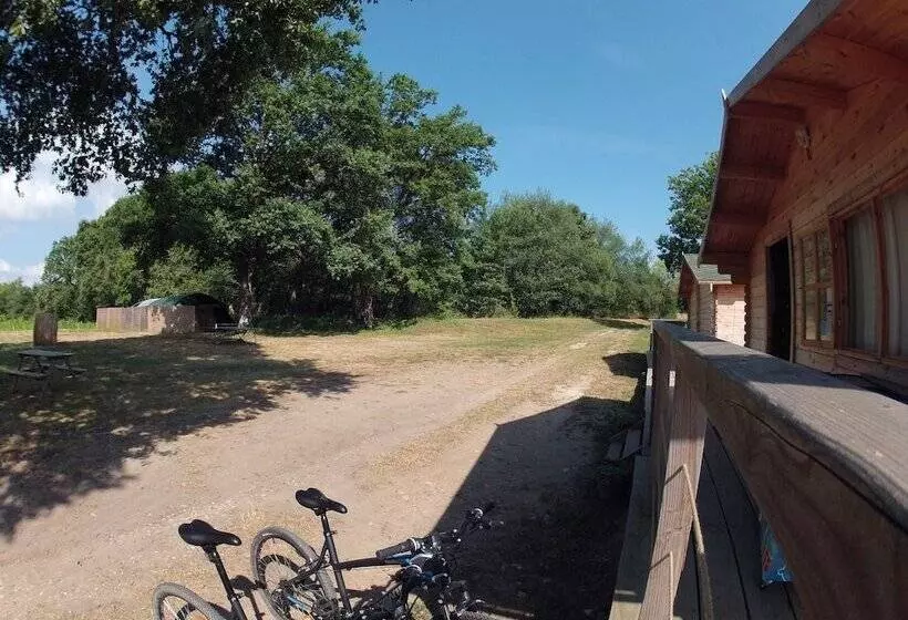 ホテル ô Bois Dormant