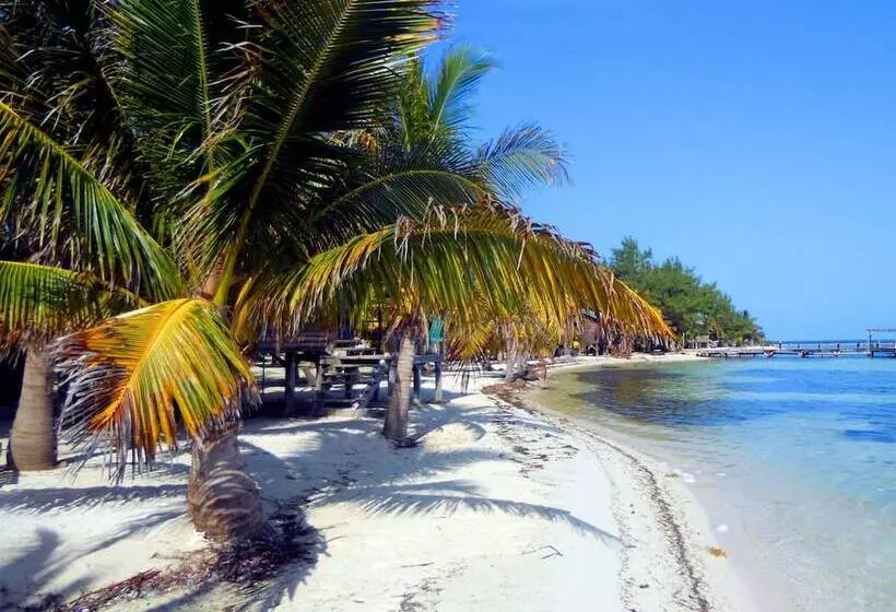 Hotelli Isla Marisol Resort