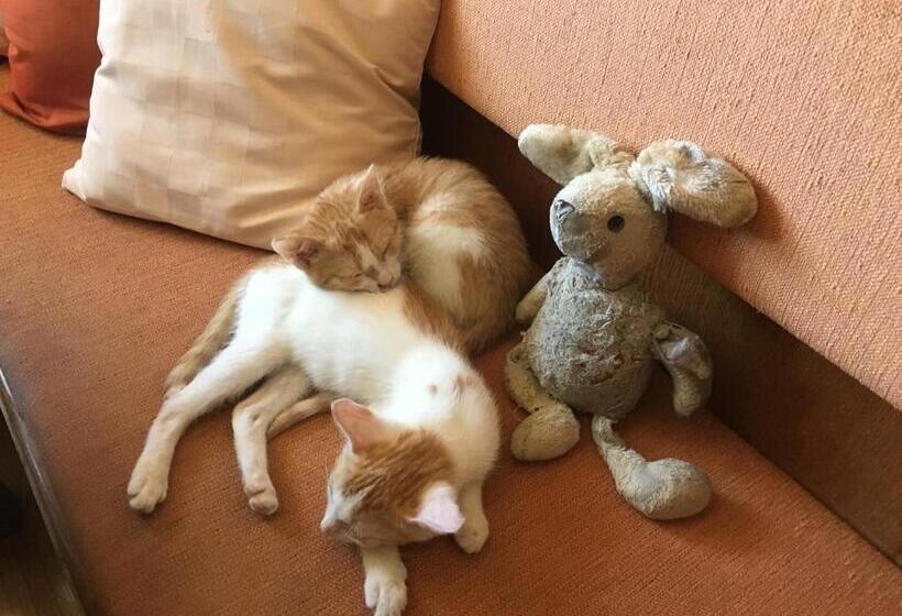 Landhotel Kreinerhof