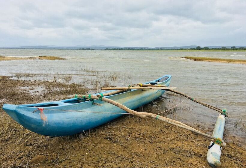 住宿加早餐 Sudu Neluma Home Stay