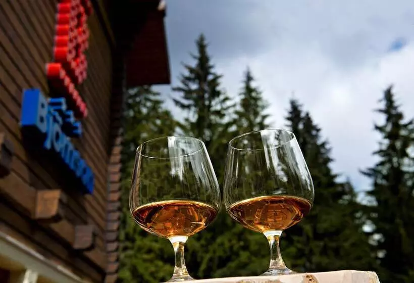 Eko Sport Hotel Björnson