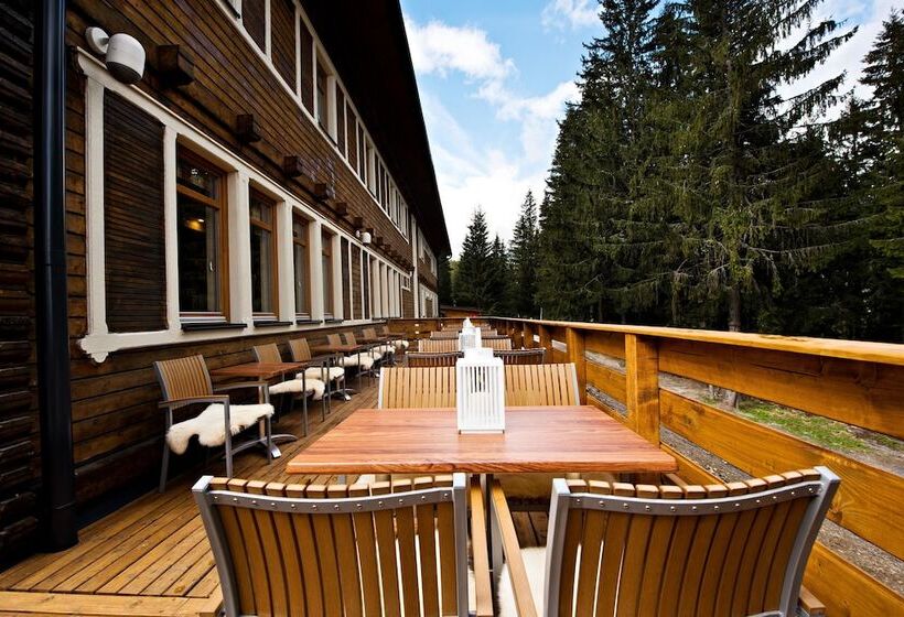 Eko Sport Hotel Björnson