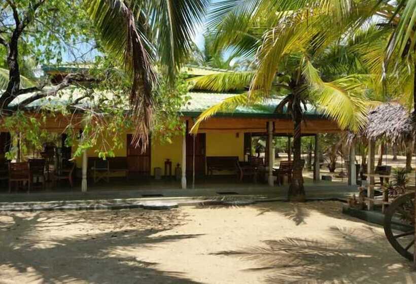 호텔 Alankuda Beach Resort