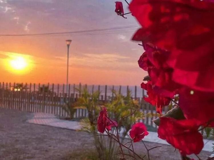 Hotelli Delfines De Chicama