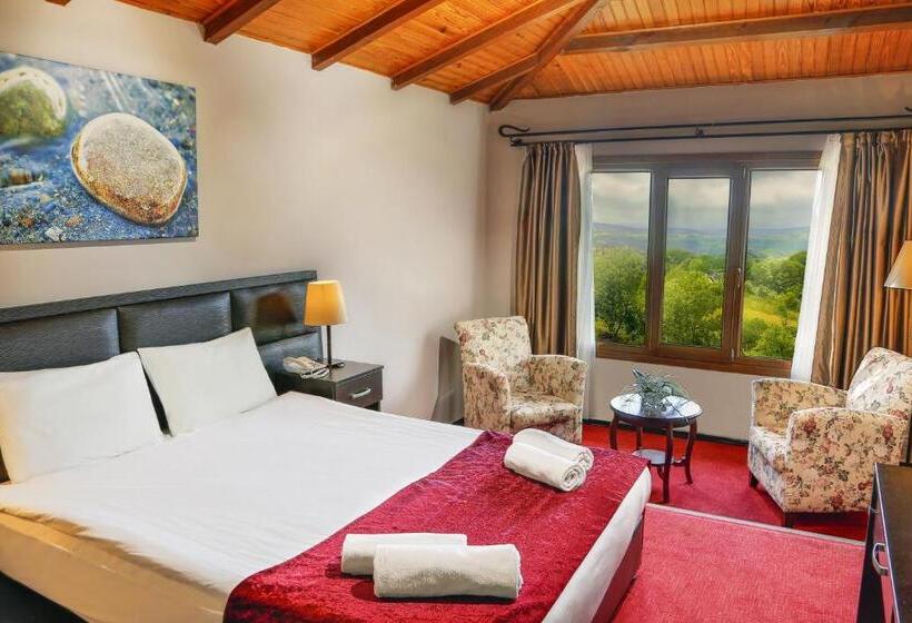 Hotel İstanbul Airport Durusu Club