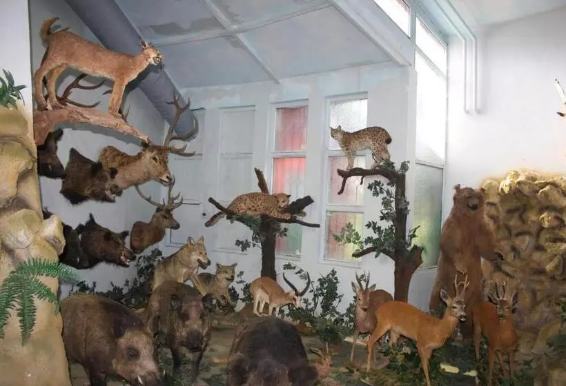 ホテル İstanbul Airport Durusu Club