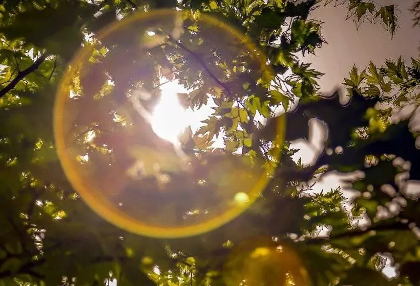 ホテル İstanbul Airport Durusu Club