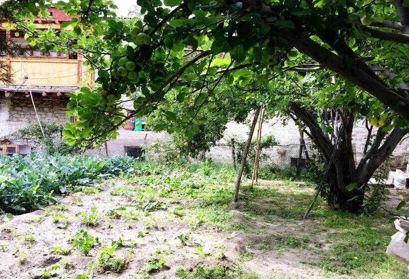 ホテル Tih Lharje Resort   Nubra