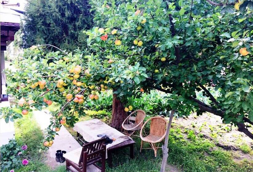 Szálloda Tih Lharje Resort   Nubra