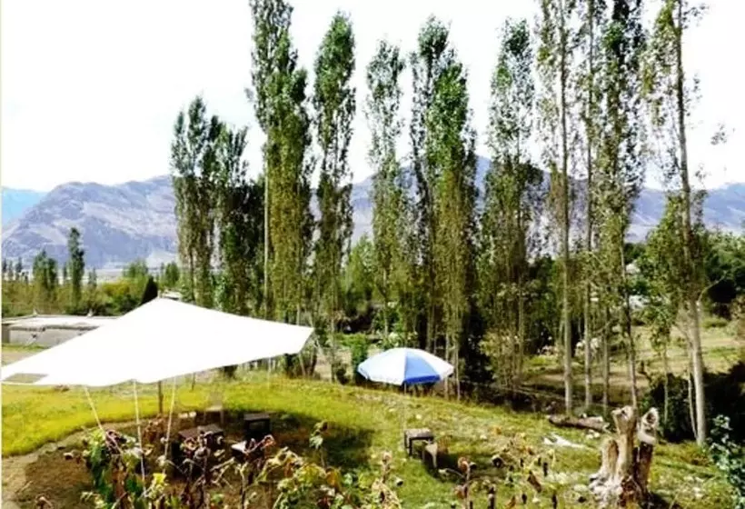 ホテル Tih Lharje Resort   Nubra