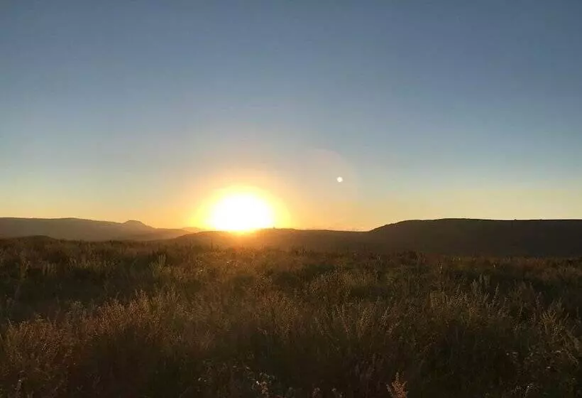 Majatalo Chilled Oaks