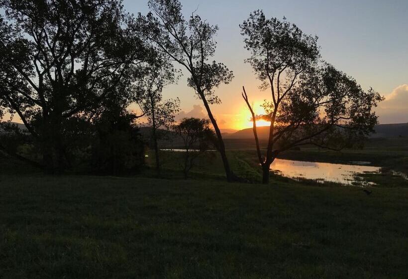 膳宿费 Chilled Oaks