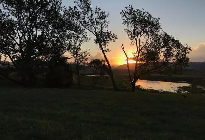 Majatalo Chilled Oaks