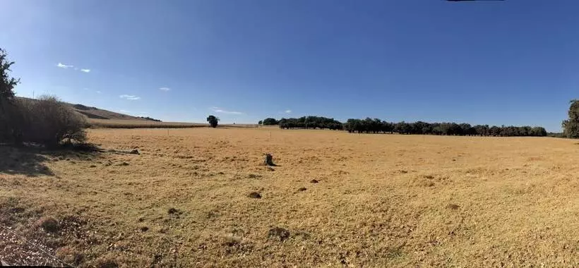 Majatalo Chilled Oaks