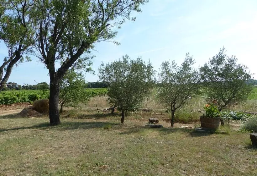 Majatalo Mas Du Crès