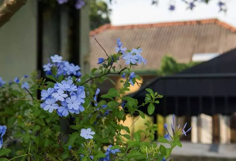 Majatalo Villa Escondite